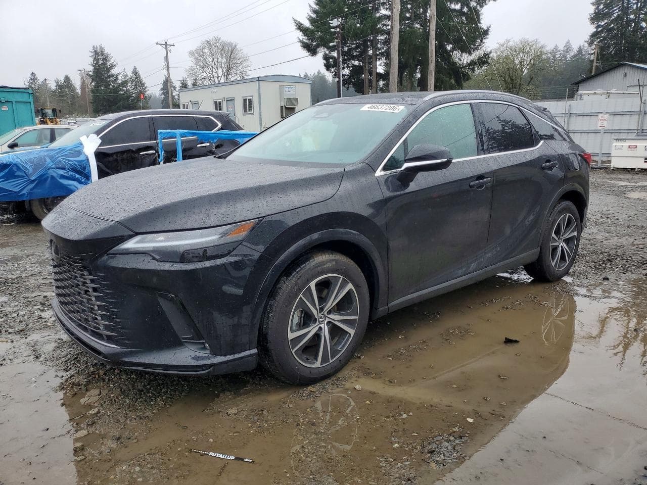 2024 Lexus RX