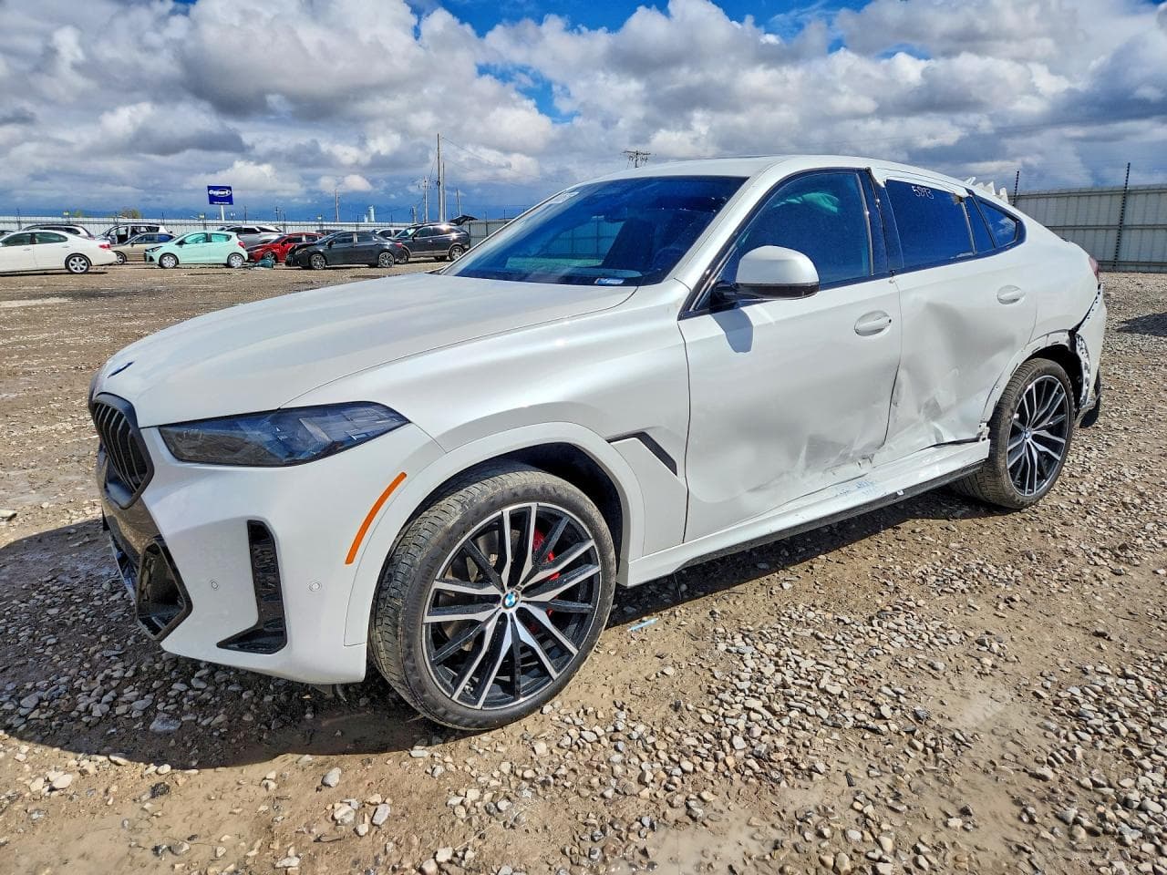 2024 BMW X6