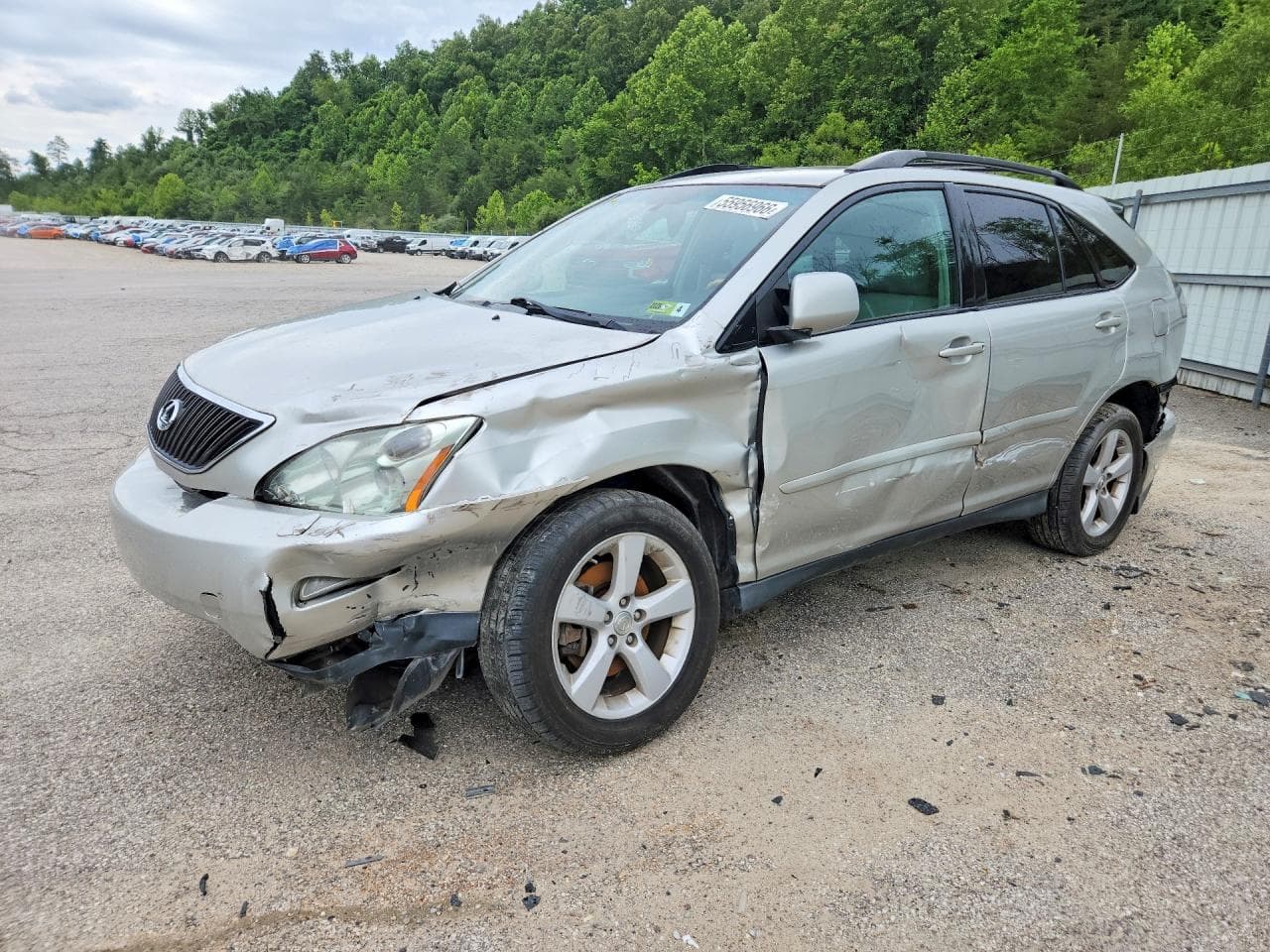 2007 Lexus RX