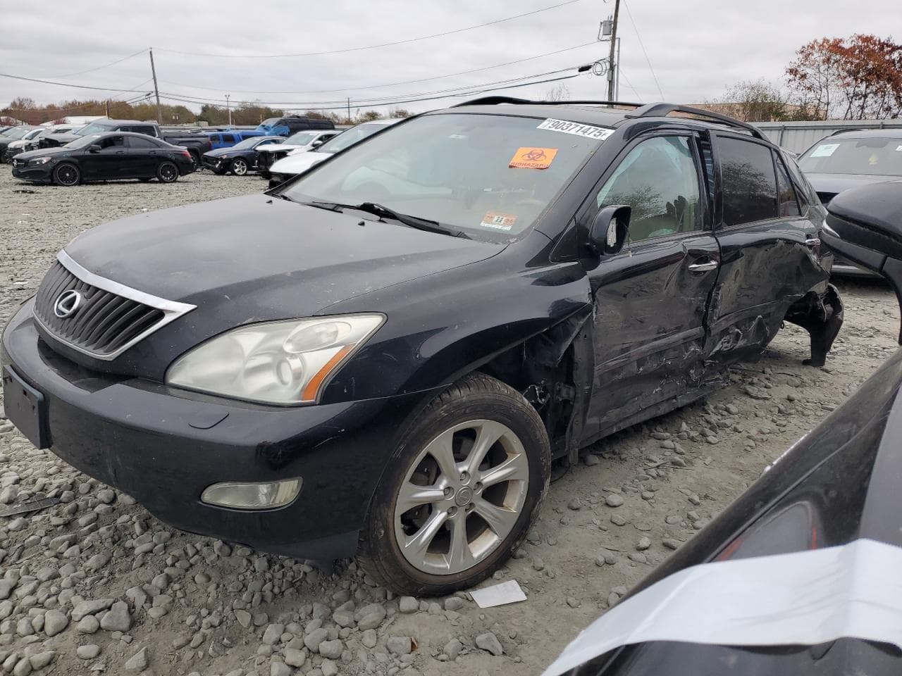 2009 Lexus RX